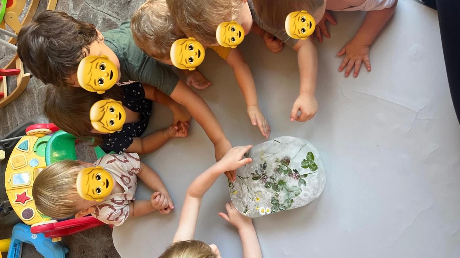 Bambini che esplorano fiori e foglie in un'attività sensoriale